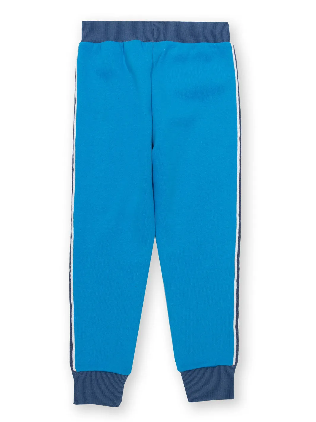 Side stripe joggers blue